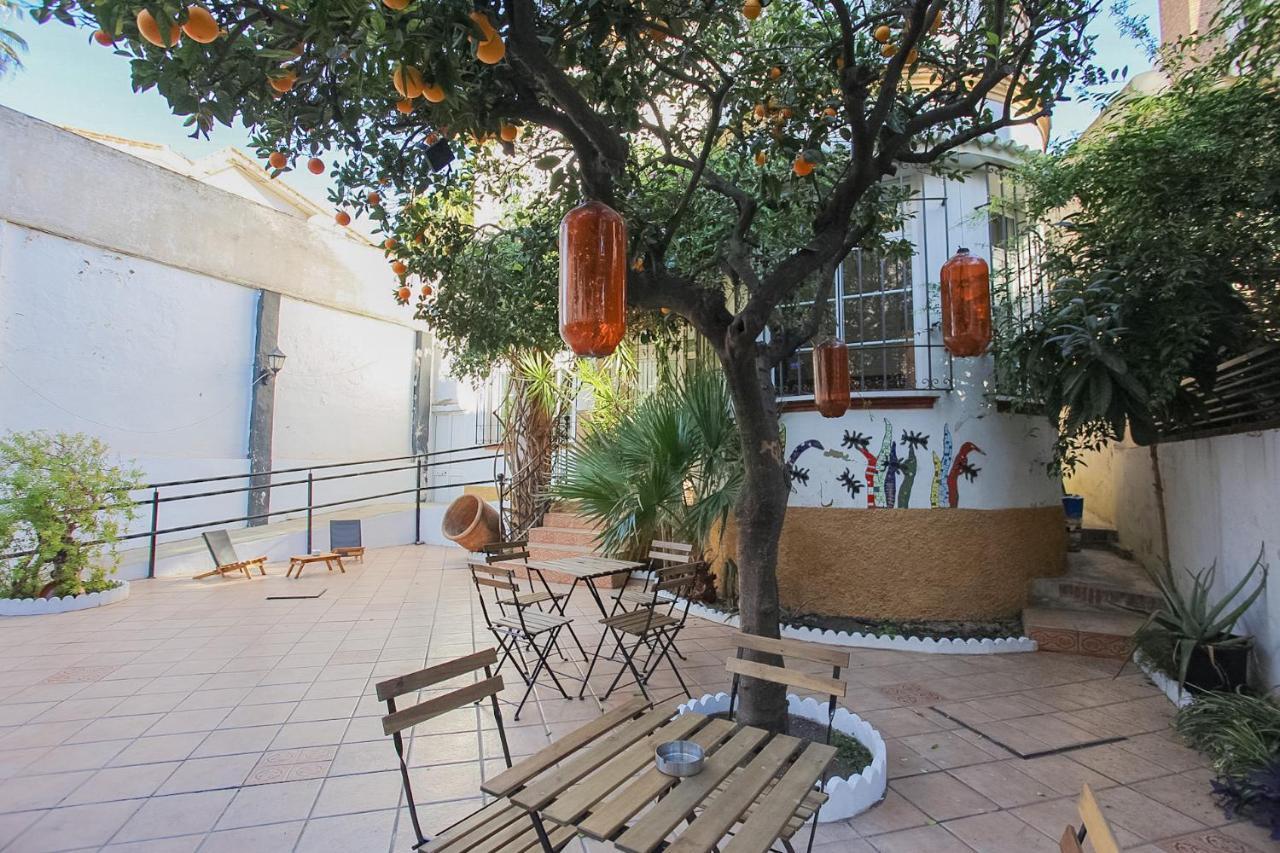 Barbatuke Bed & Bike Hostel Μάλαγα Εξωτερικό φωτογραφία